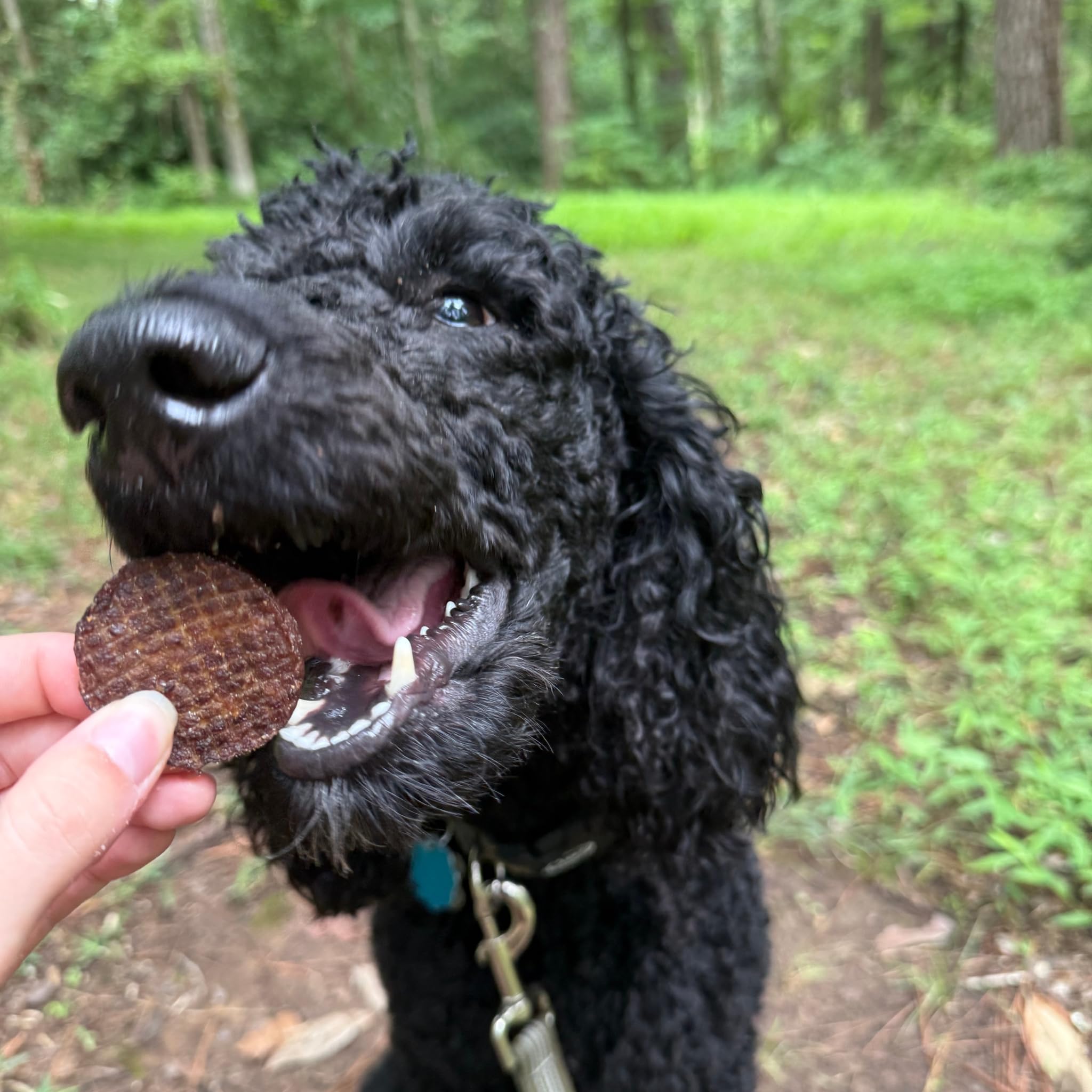 Farm To Pet USA-made beef chips sourced from family farms