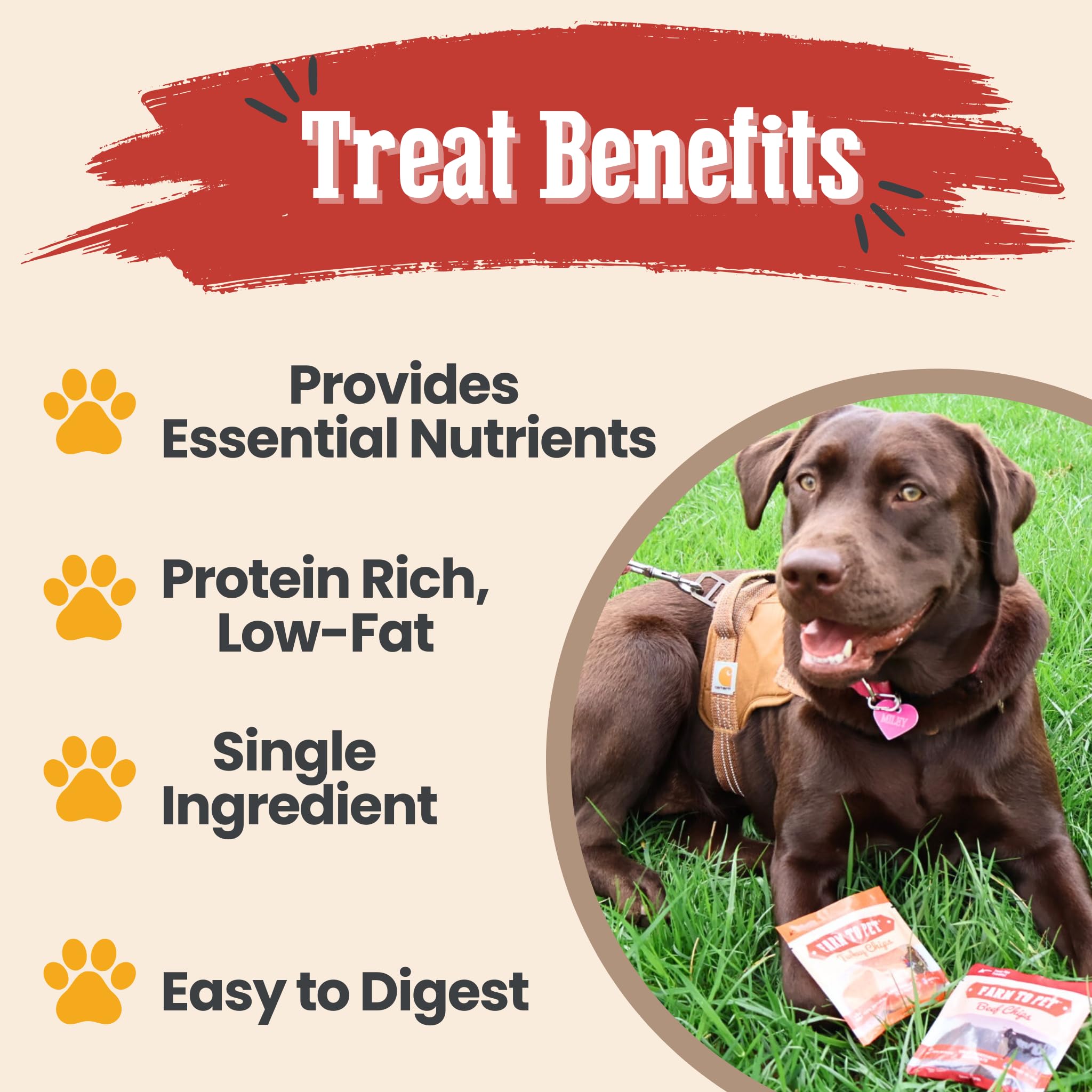 Farm To Pet walleye fish treat chips present a grain-free option.