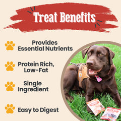 Farm To Pet walleye fish treat chips present a grain-free option.
