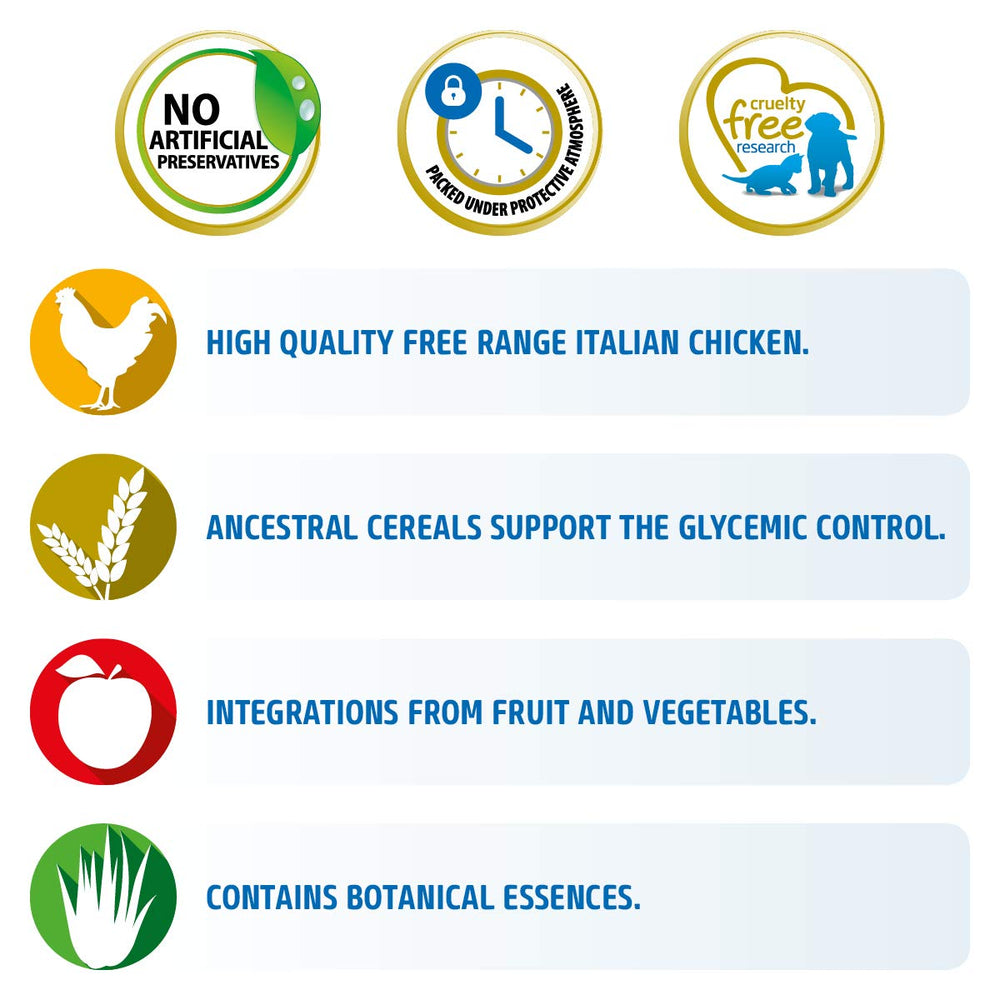 Ingredient chart for Farmina chicken recipe showing spelt, oats, and fruits.