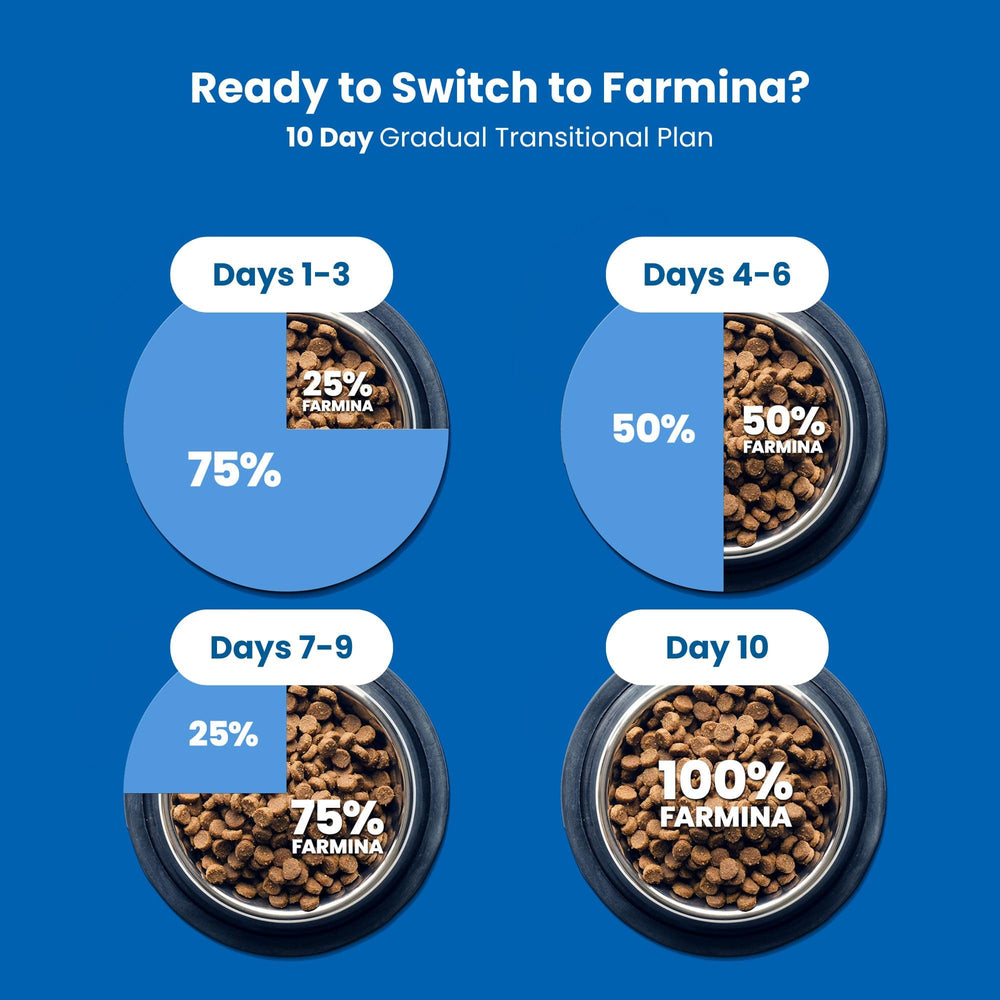 Cat eating Farmina N&D dry food during a meal