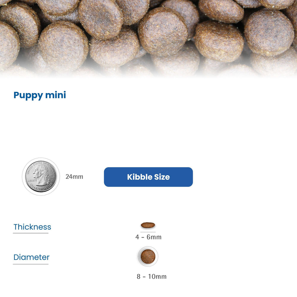 Farmina N&D Puppy packaging close-up reveals natural ingredients and blueberry antioxidants