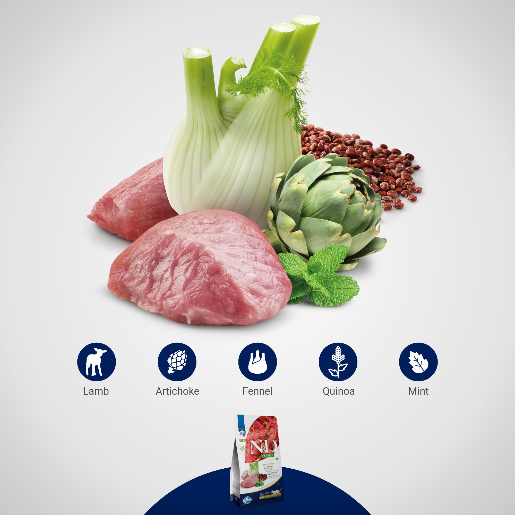 Farmina N&D Quinoa Digestion Lamb ingredients bowl showing lamb, quinoa, fennel and mint.
