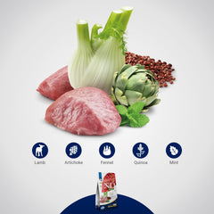 Farmina N&D Quinoa Digestion Lamb ingredients bowl showing lamb, quinoa, fennel and mint.