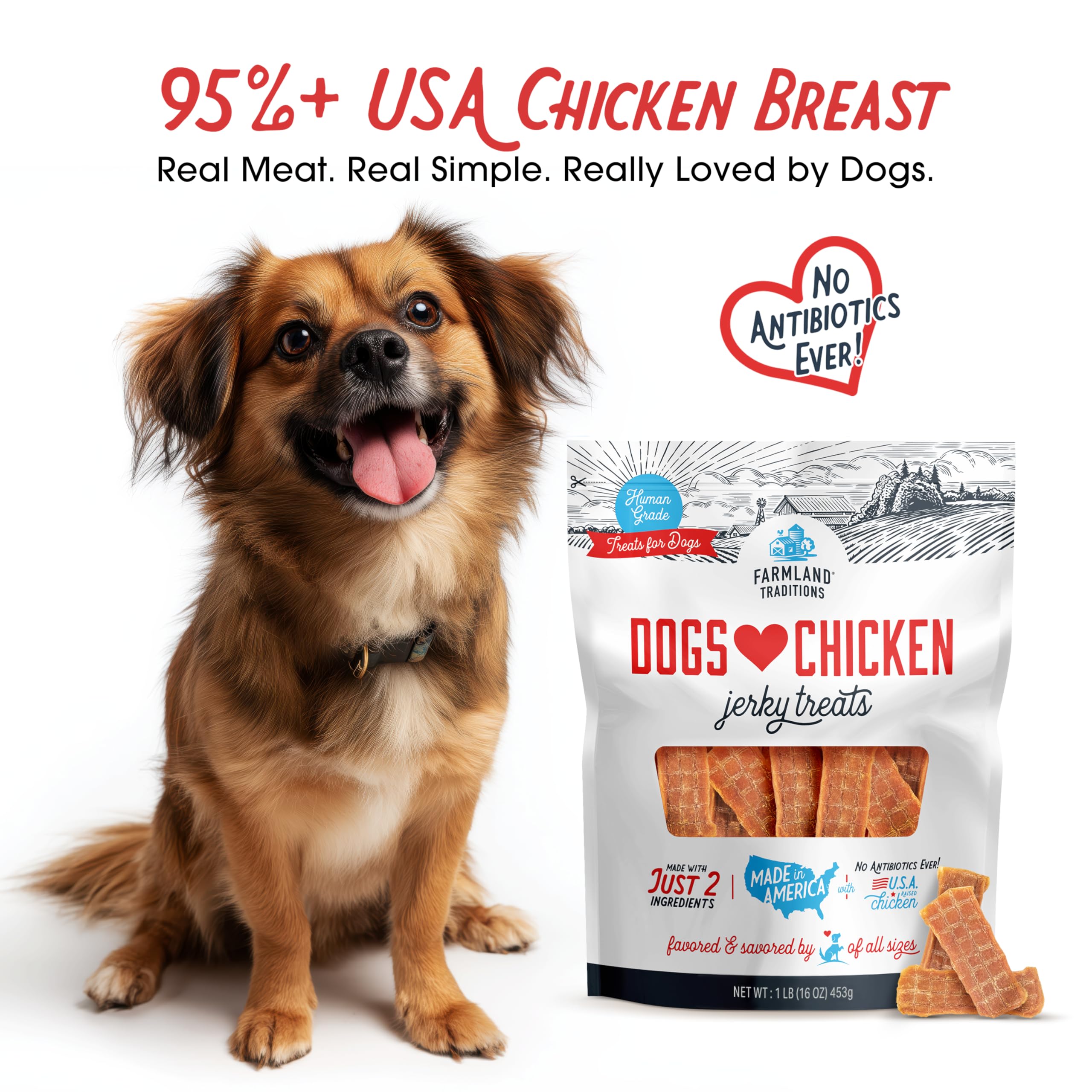Farmland Traditions two-ingredient jerky slices highlighting lean USA-raised chicken.