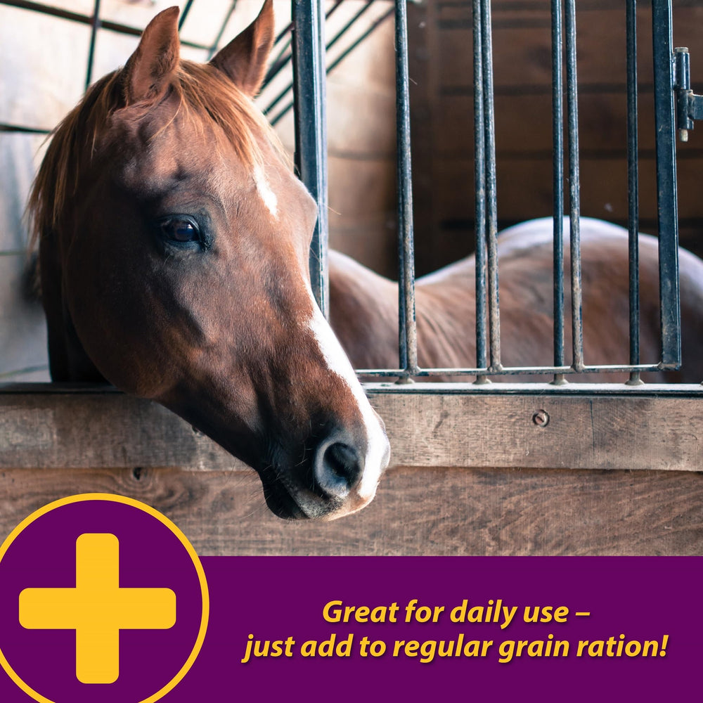 Farnam Apple-Dex 30-lb bag provides a long-lasting supply for one horse
