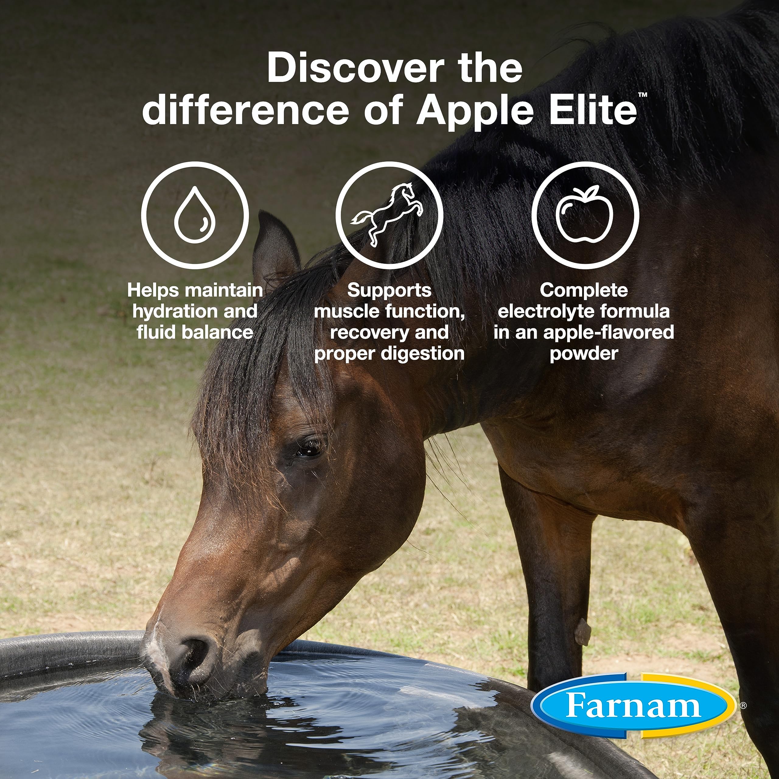 Farnam Apple Elite apple-flavor powder keeps horses hydrated with a tasty option.