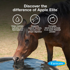 Farnam Apple Elite apple-flavor powder keeps horses hydrated with a tasty option.