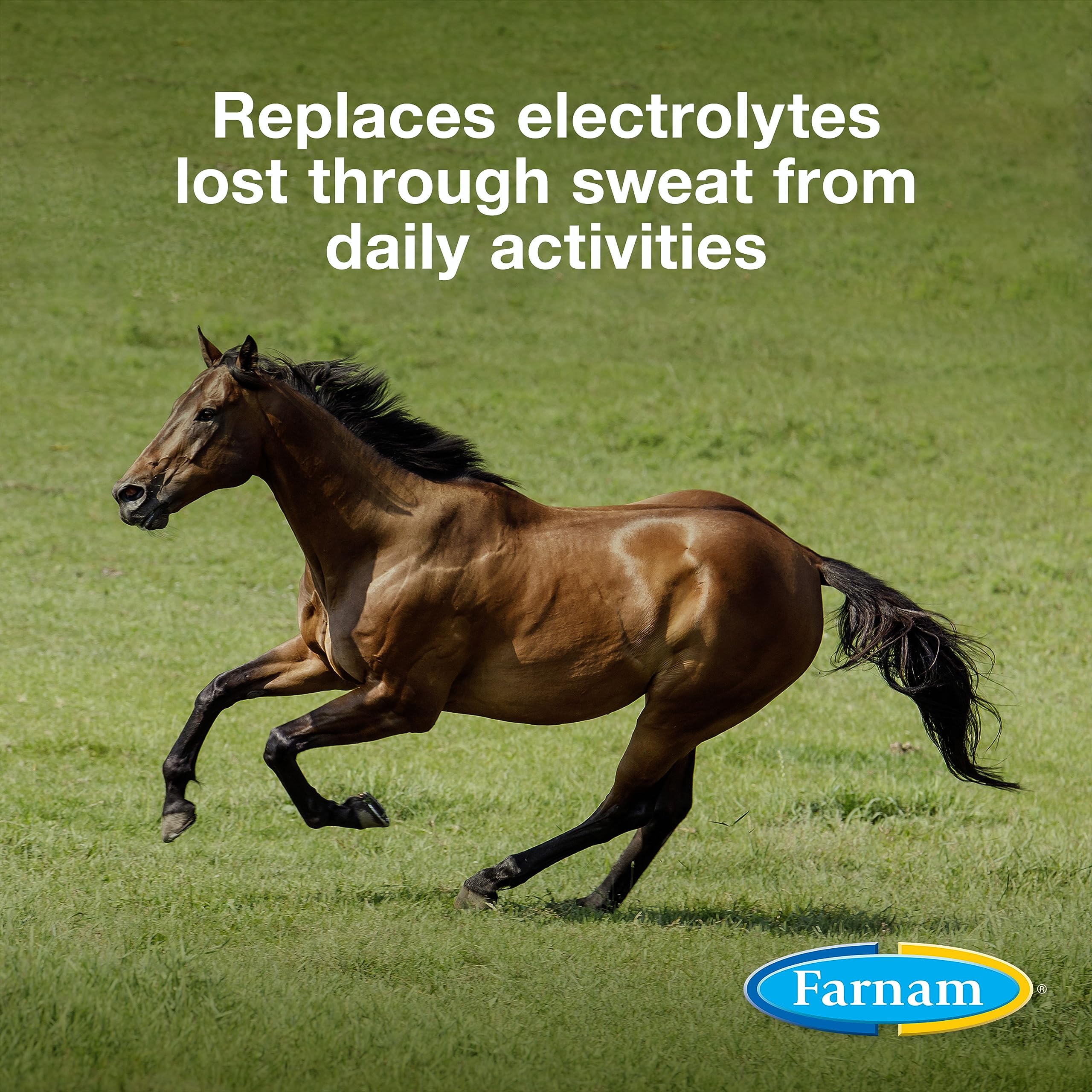 The Farnam Apple Elite dispense scoop enables accurate daily feeding for hydration.