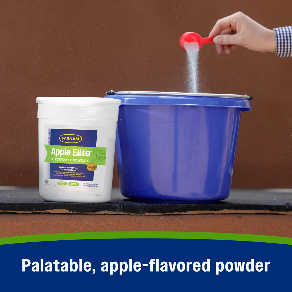 Endurance horse using Farnam Apple Elite electrolyte powder during long conditioning