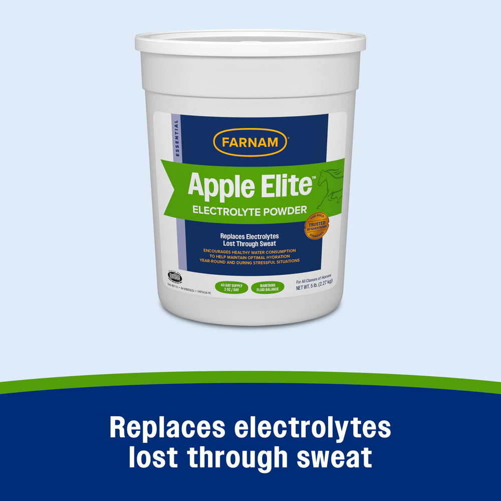 Electrolyte powder dispensed onto horse feed to aid hydration during training