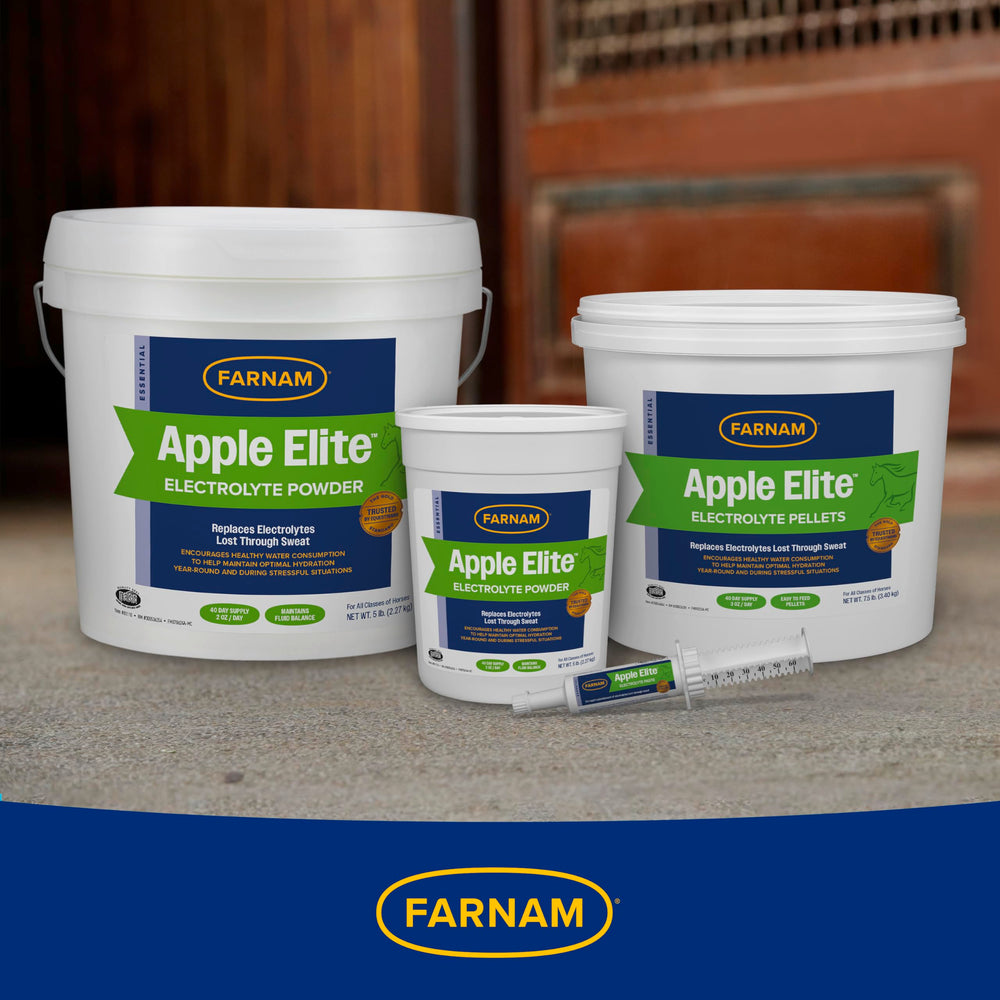 Horse at show prep with Farnam Apple Elite hydration support