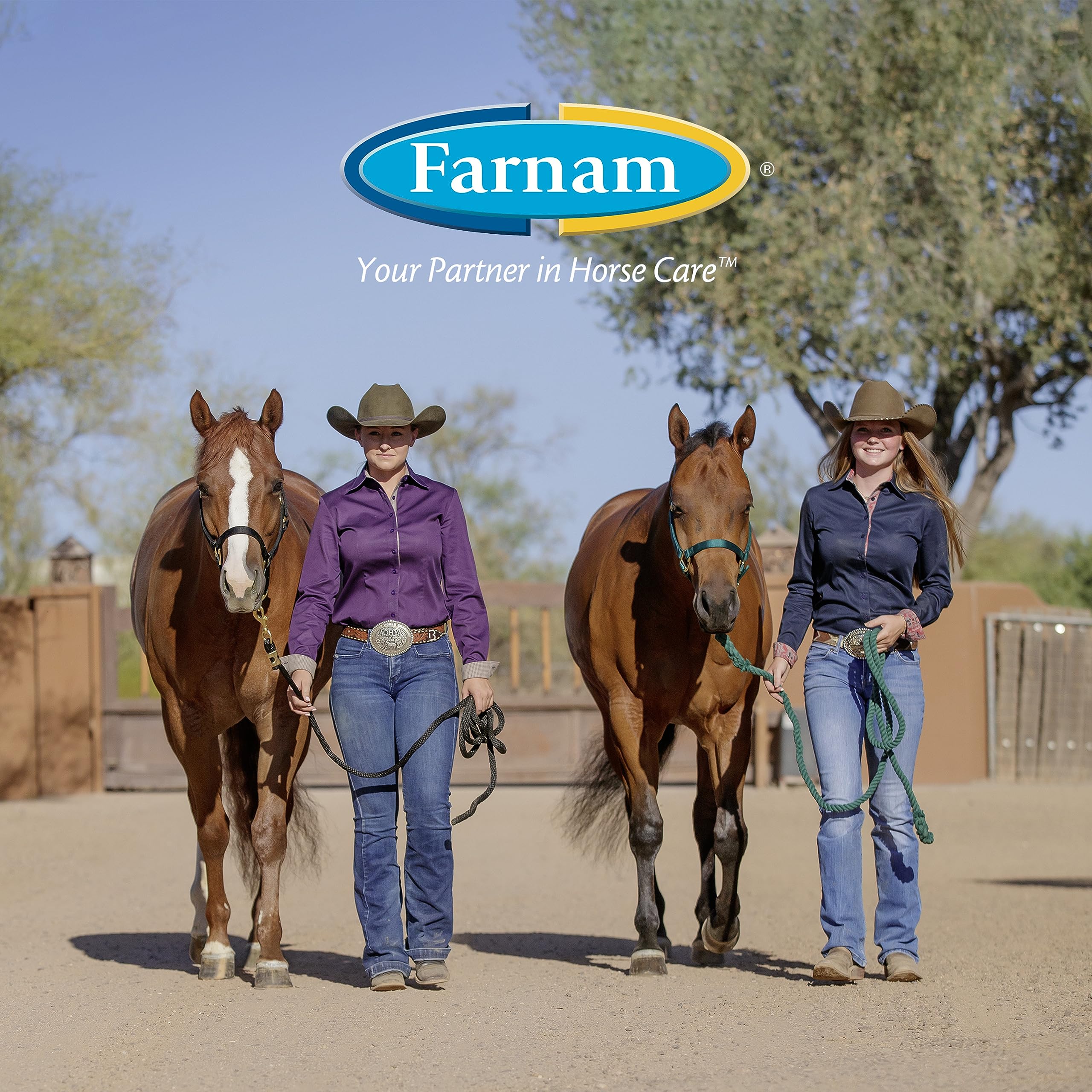 Farnam Apple Elite electrolyte mix suitable for all ages and workloads.