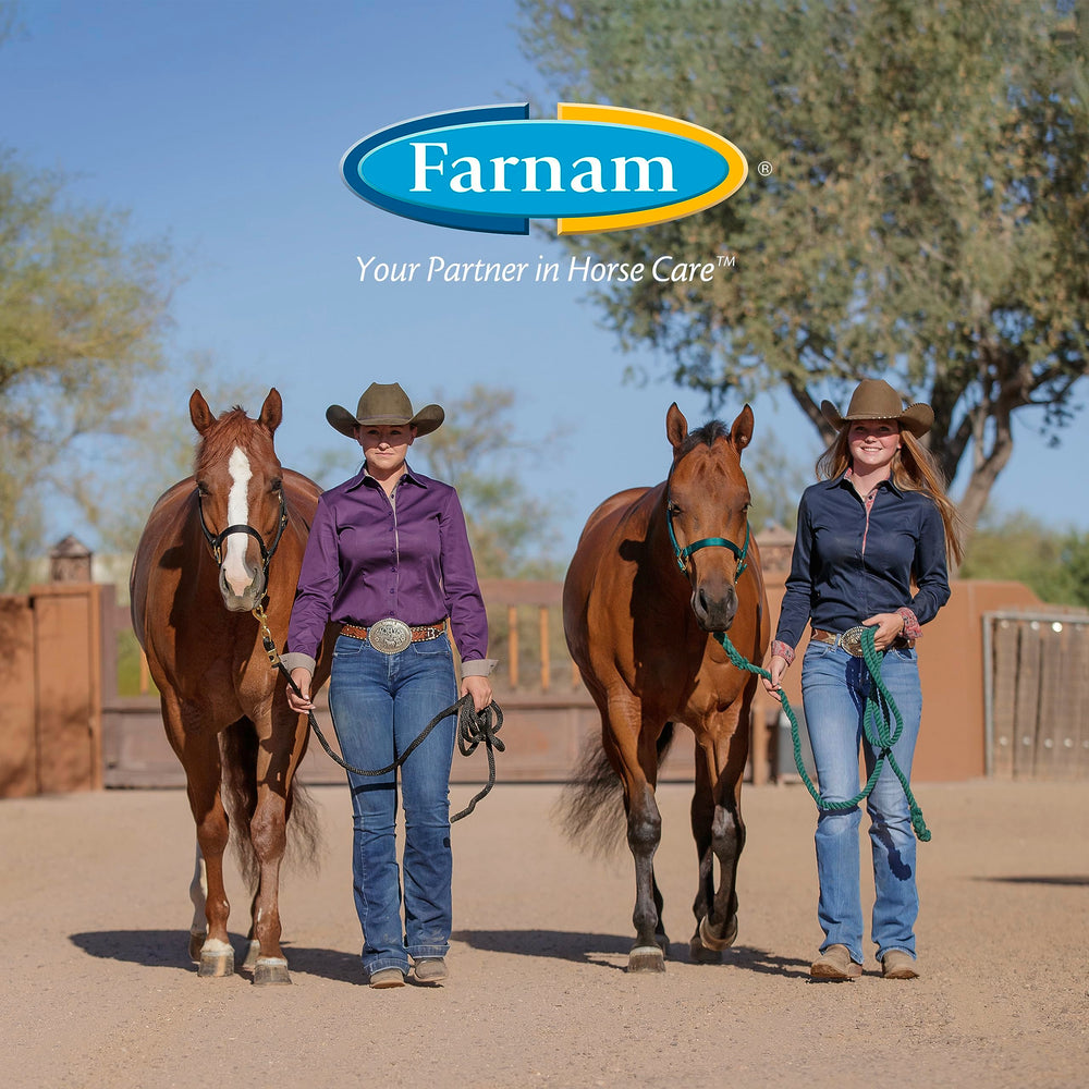 Farnam Apple Elite electrolyte mix suitable for all ages and workloads.