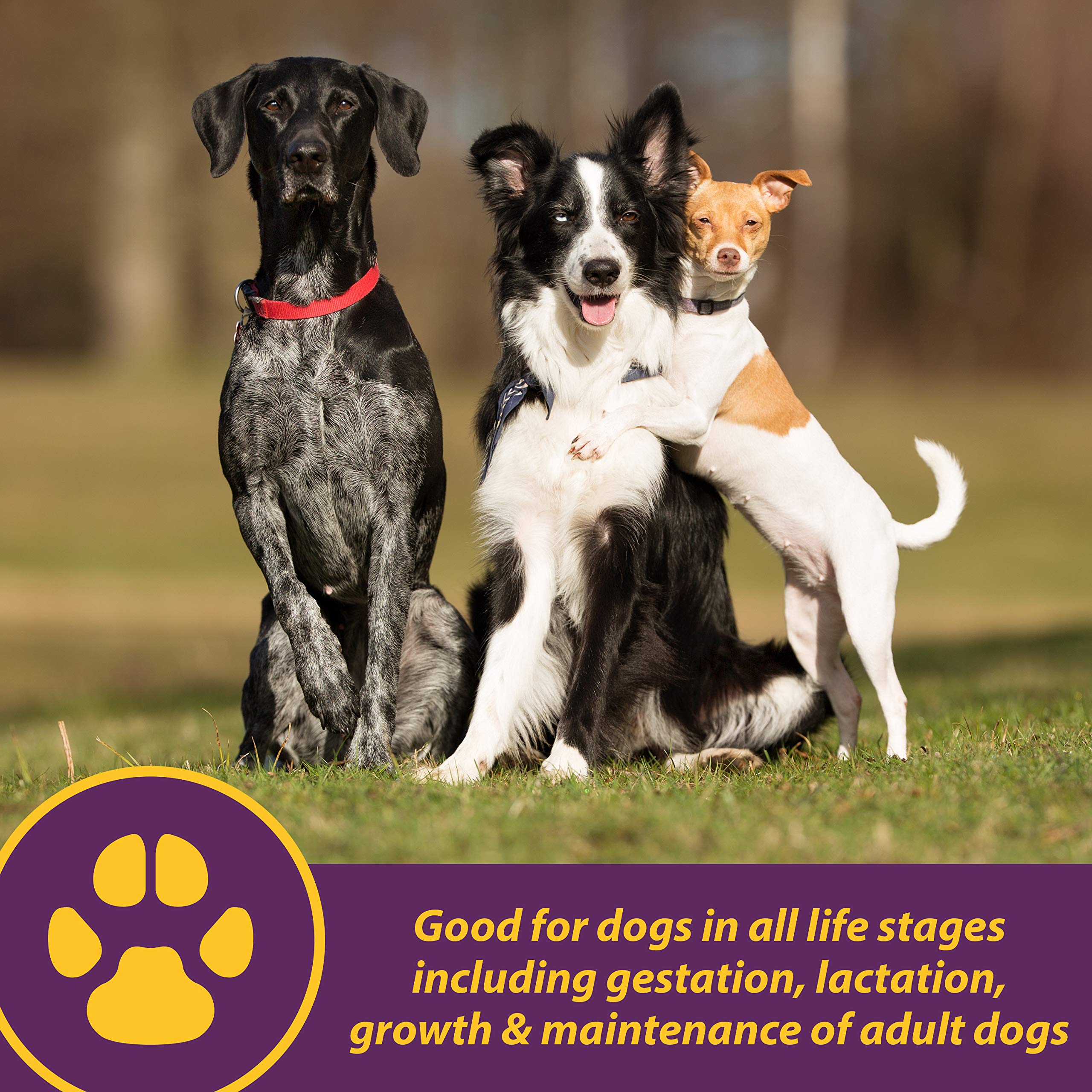 Farnam Canine Red Cell pour shows smooth flow for easy mixing with meals