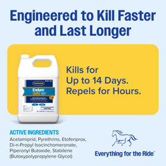 Farnam Endure Gold applied on a horse to demonstrate comfort during turnout.