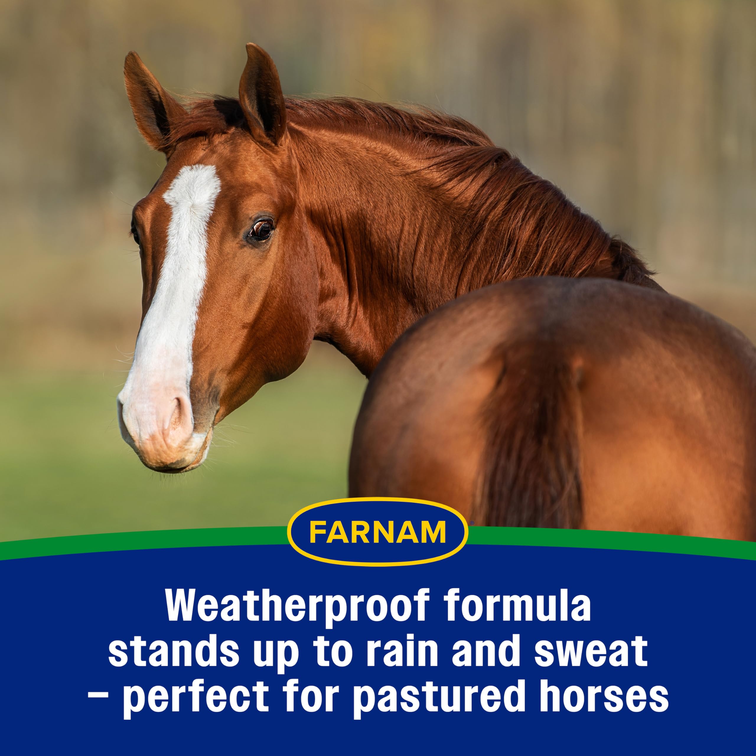 Pasture scene with Farnam Equi-Spot protecting the horse.
