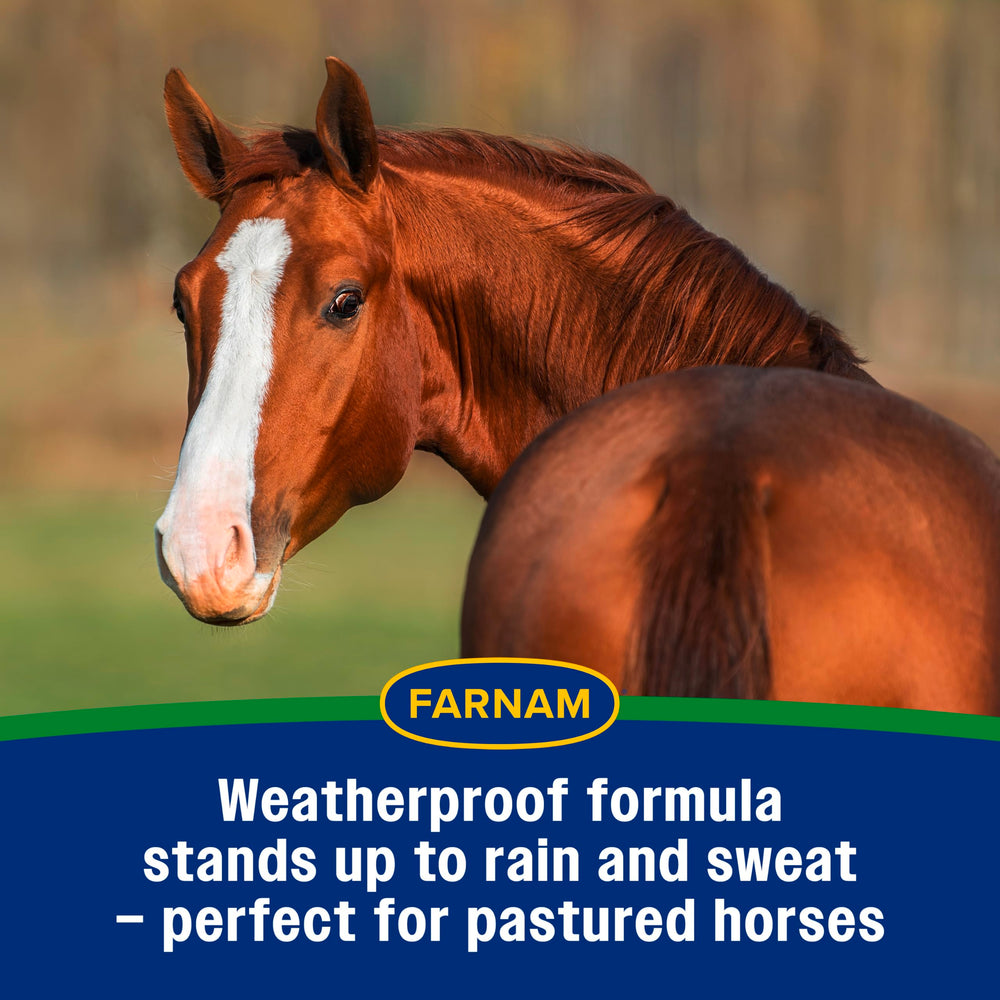 Pasture scene with Farnam Equi-Spot protecting the horse.
