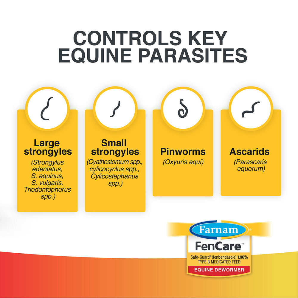 Close-up of apple-flavored FenCare pellet highlighting palatability for horses.