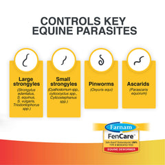Close-up of apple-flavored FenCare pellet highlighting palatability for horses.