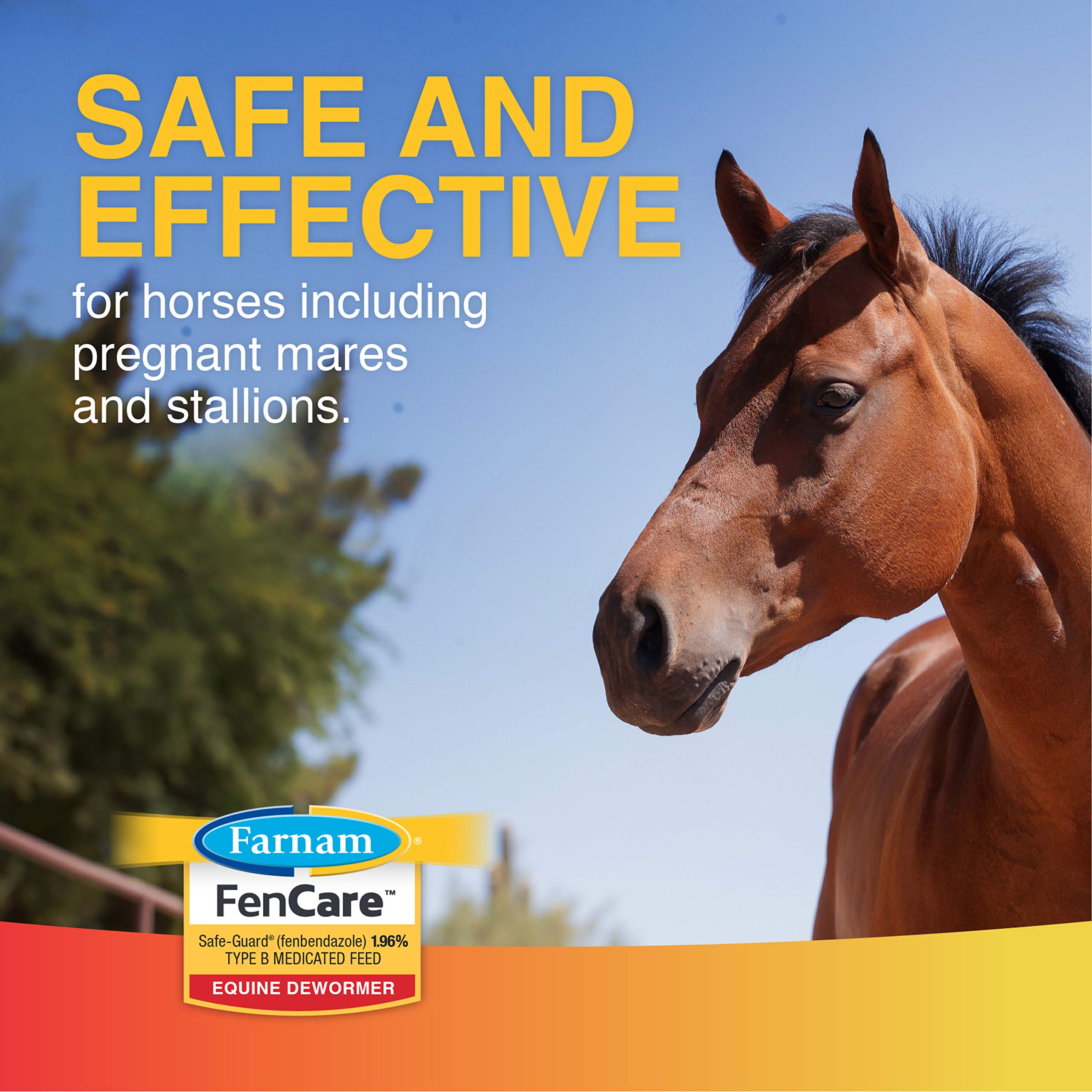 Horse tasting pellet during feeding demonstrates palatability and acceptance.