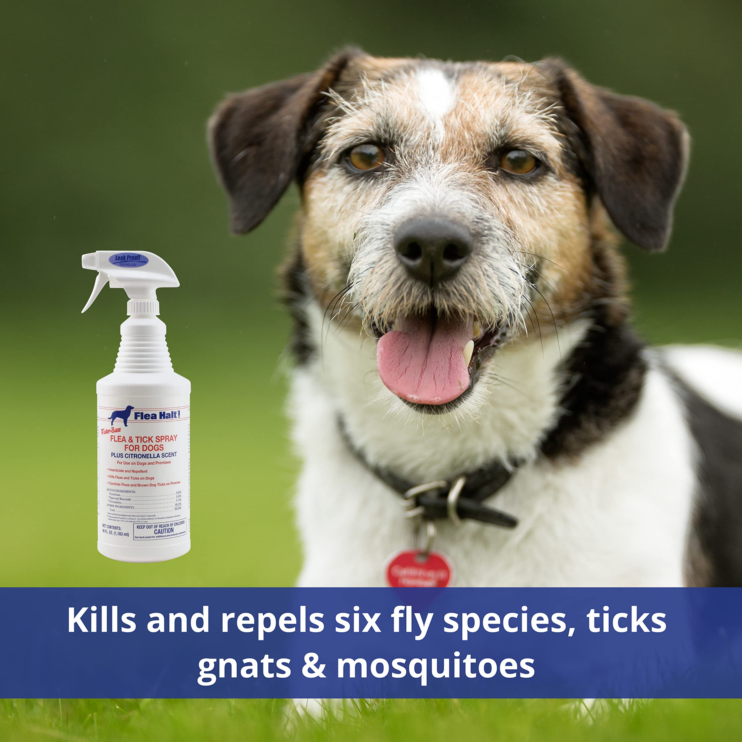 Farnam Flea Halt spray on dog coat for quick on-pet protection.