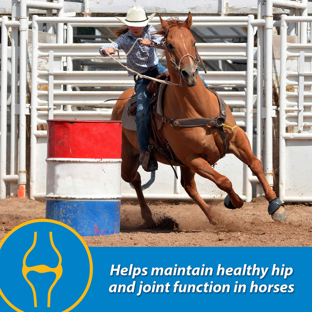 Farnam FluidFlex dosing with syringe for easy administration.