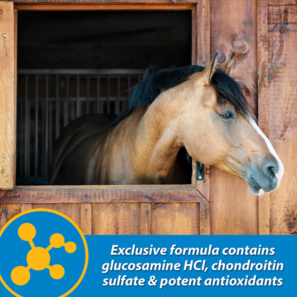 Farnam FluidFlex ingredients glucosamine and chondroitin support joints.