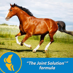 Farnam FluidFlex pours over grain for daily joint health.
