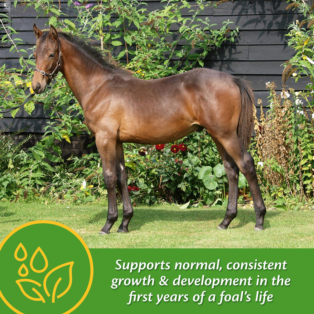 Foal creep feed with Farnam Grow Colt promotes balanced intake