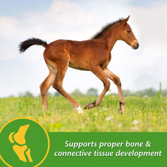 Close-up of foal nibbling Farnam Grow Colt pellets