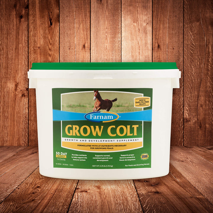 Measuring Farnam Grow Colt pellets for precise daily portion