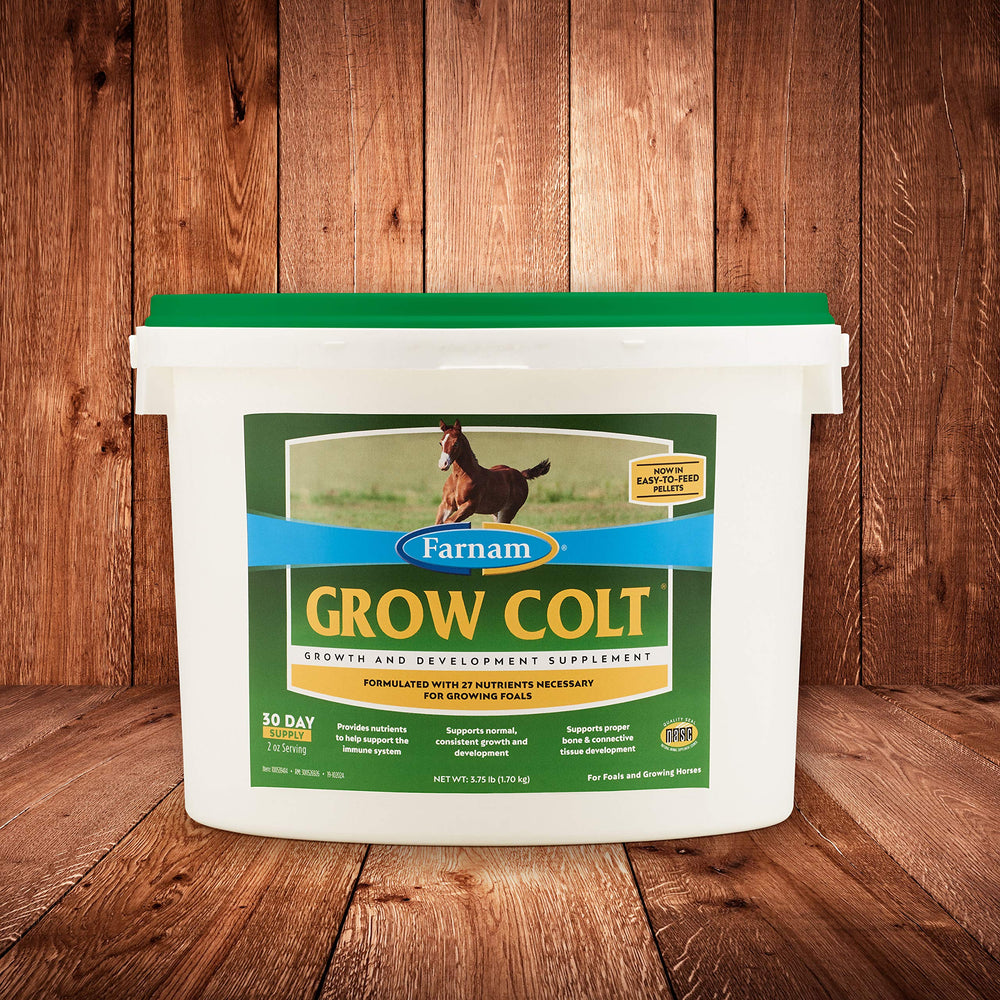 Measuring Farnam Grow Colt pellets for precise daily portion