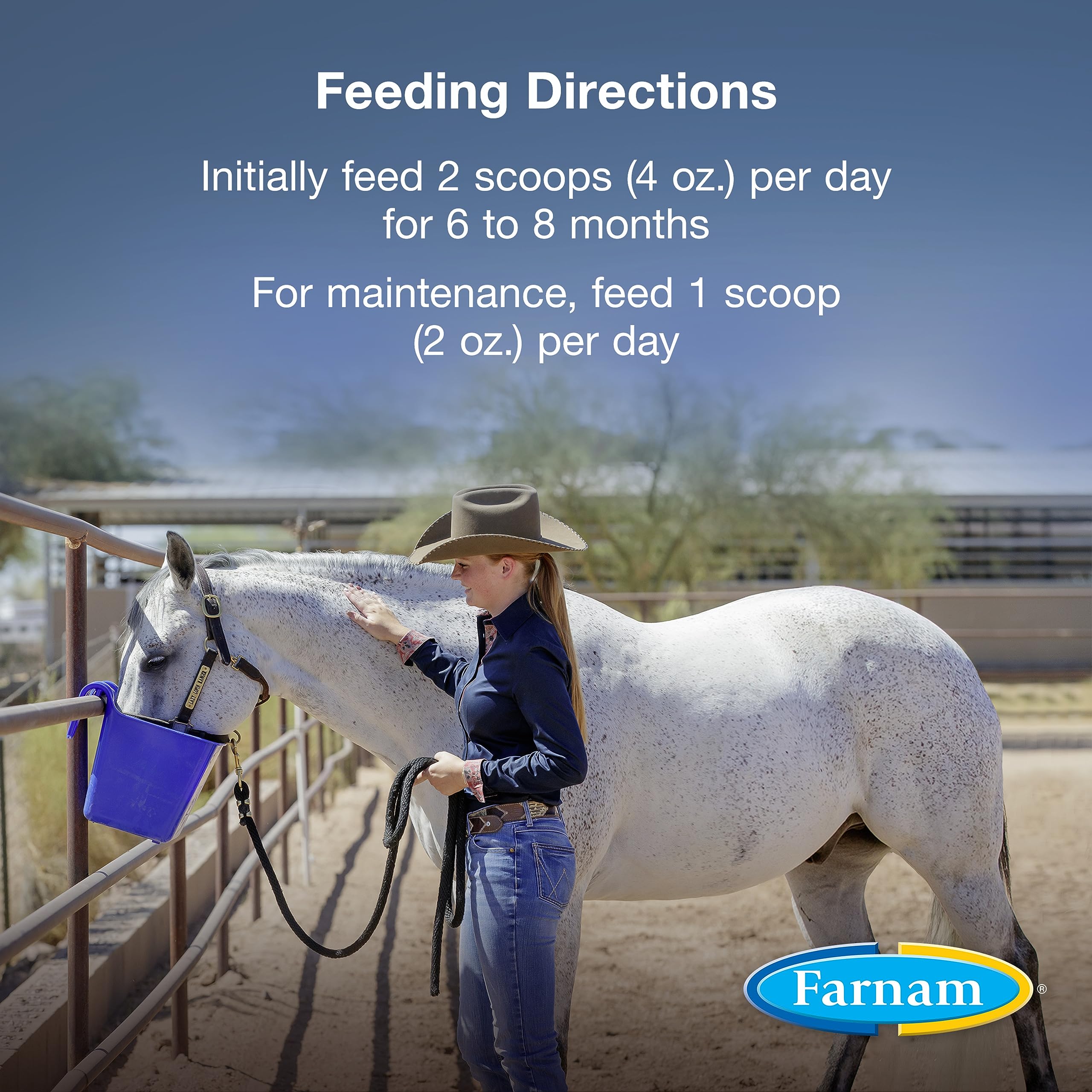 Farnam Horseshoer Secret digestible nuggets: easy-to-feed nuggets designed for effective nutrient absorption.