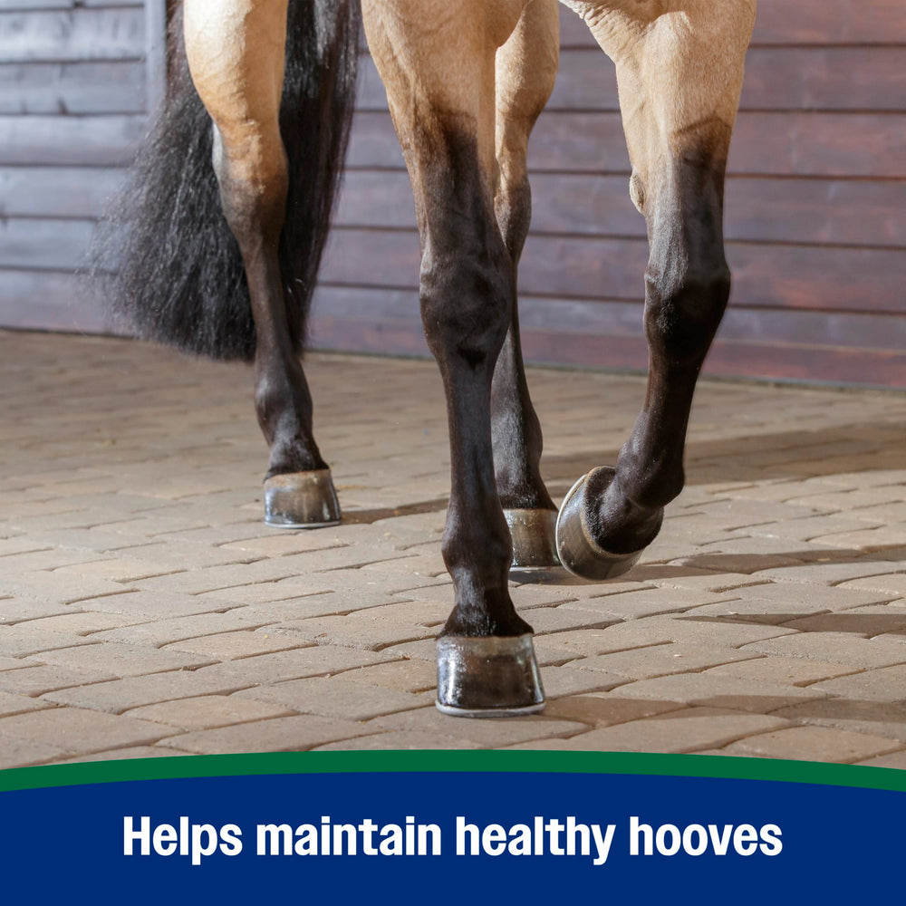 Farnam Horseshoer’s Secret biotin and amino acids support hoof foundation.