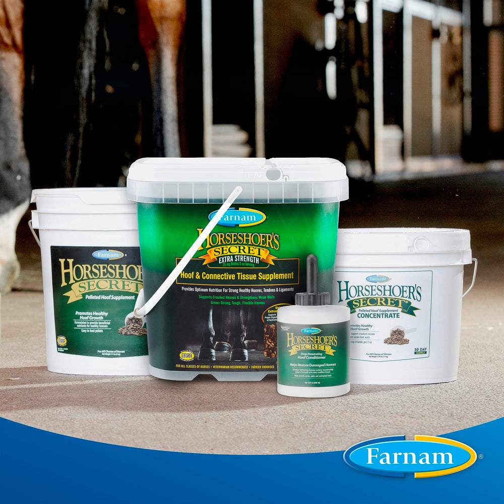 Farnam Horseshoer’s Secret pellets being added to a horse’s grain ration.