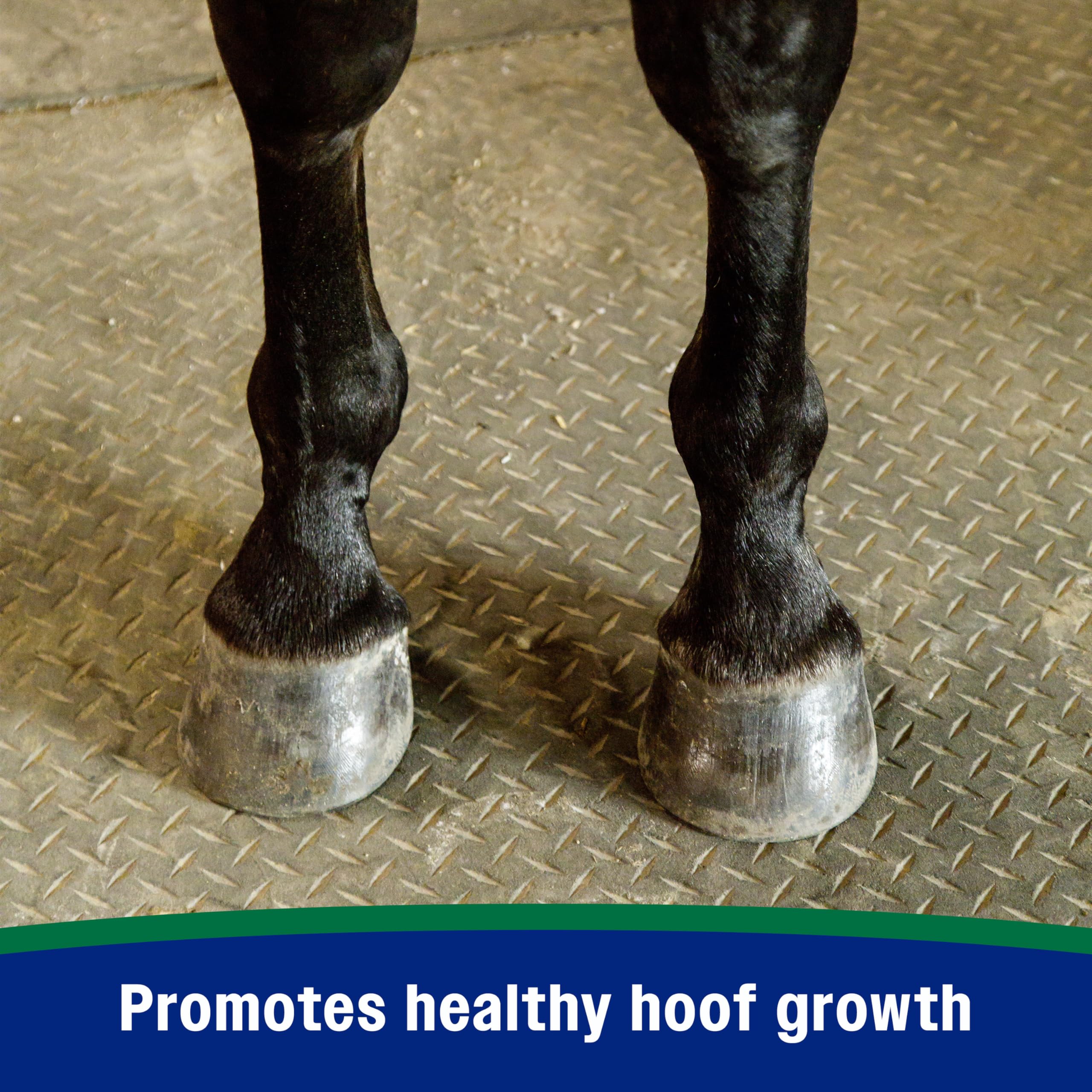 Feeding scoop beside the bag illustrates easy, consistent dosing for hoof care.