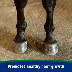Feeding scoop beside the bag illustrates easy, consistent dosing for hoof care.