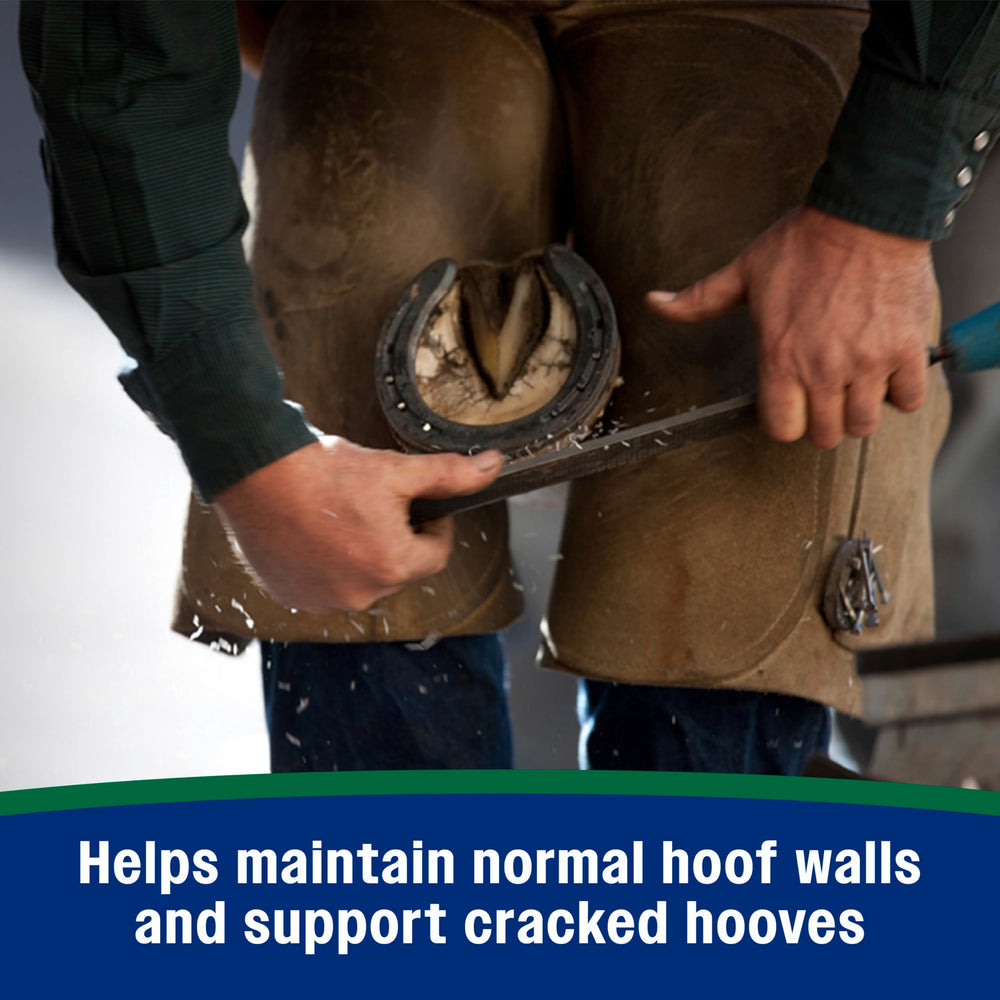 Pellets being mixed with grain shows simple integration into routines for daily feeding.