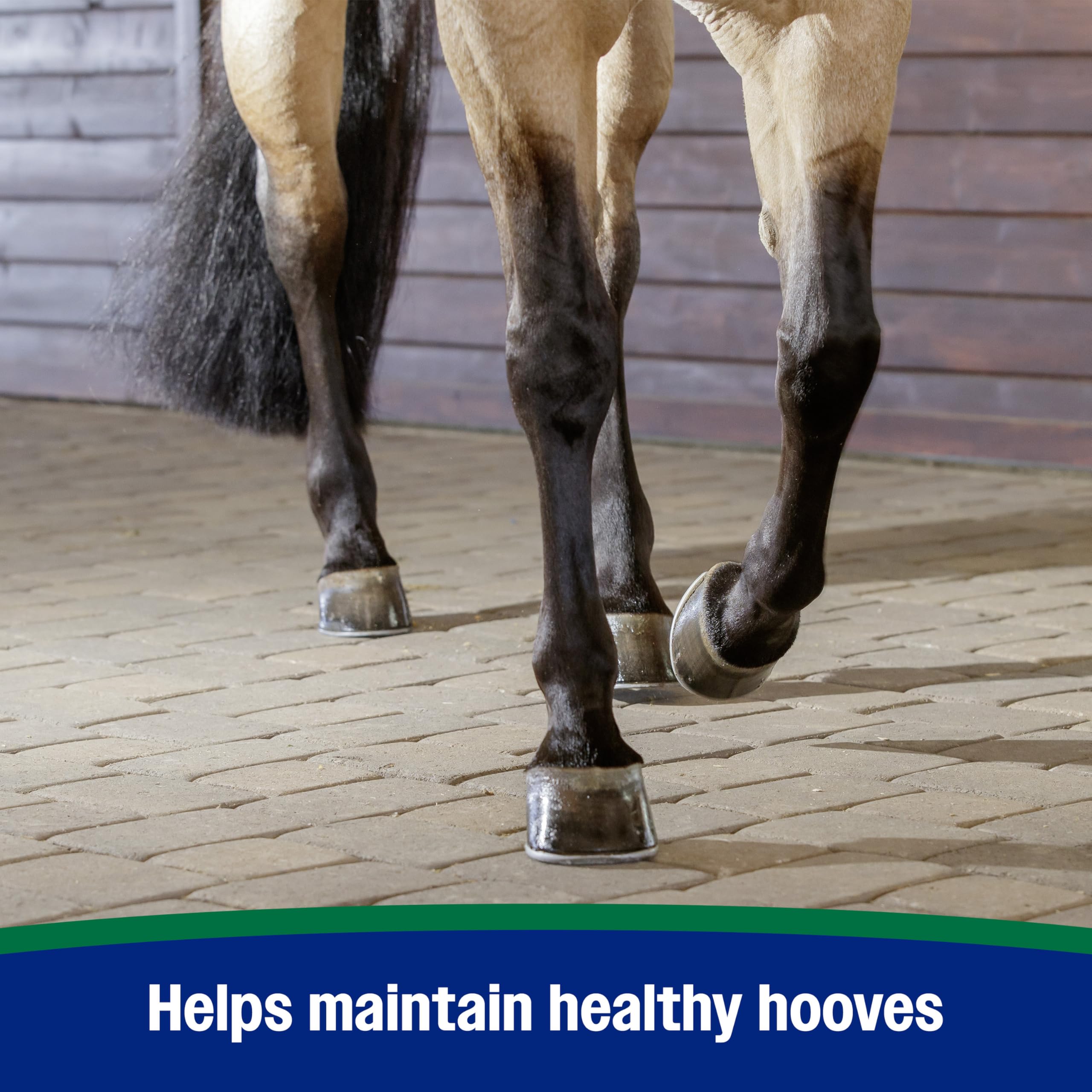 Close-up of hoof wall detail suggests stronger, healthier growth potential with daily use.