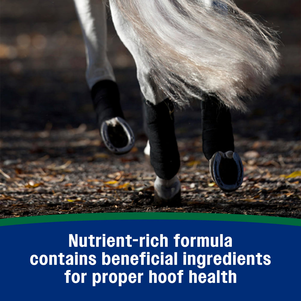Farnam Horseshoer’s Secret suggests professional endorsement for hoof and joint support.