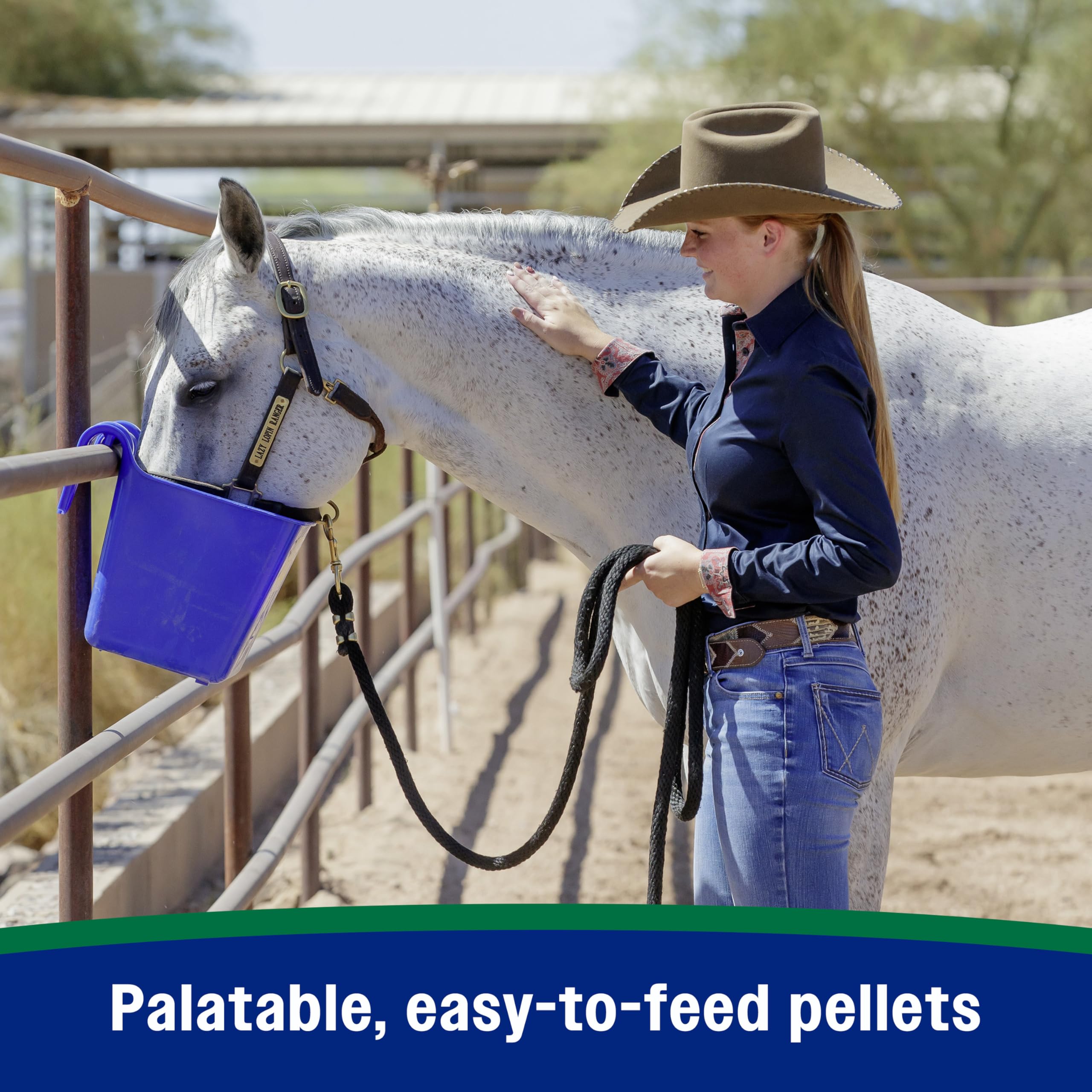 Farnam Horseshoer’s Secret demonstrates seasonal hoof care for year-round resilience.