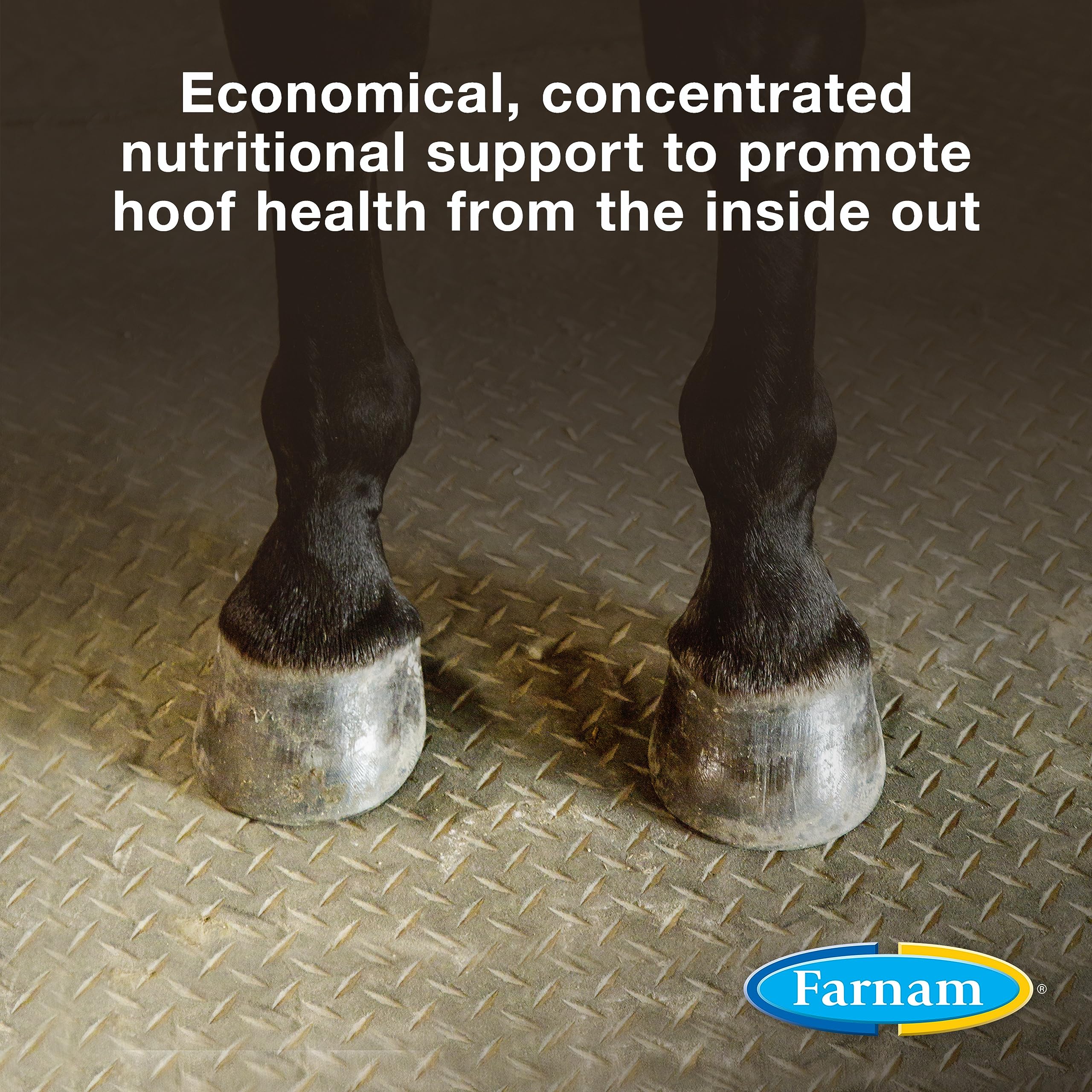 Farnam Horseshoer’s Secret alfalfa-based pellets close-up