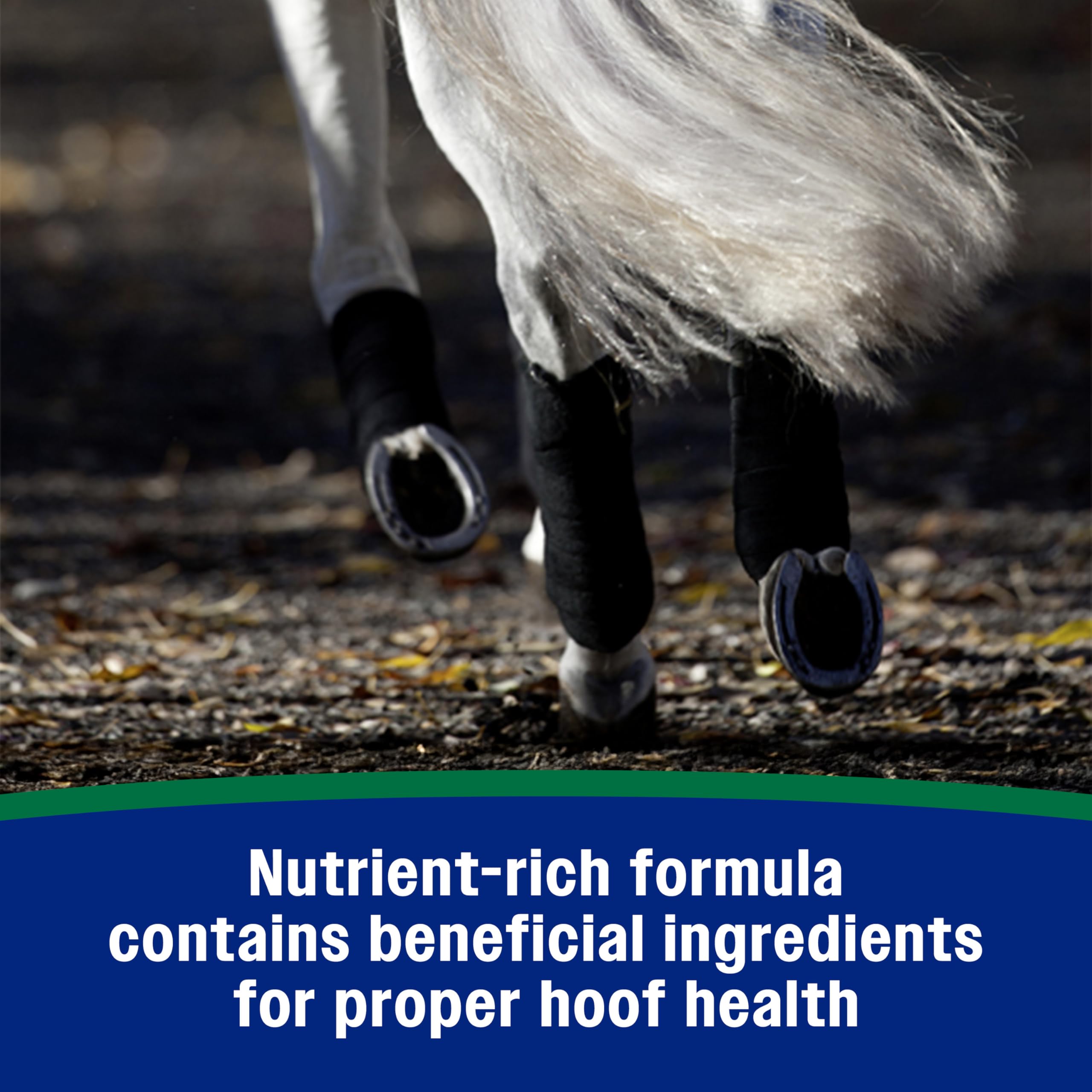 Farnam Horseshoer’s Secret promotes tendon and ligament support for performance