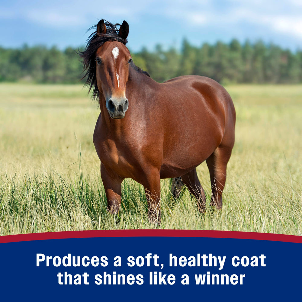 Farnam Laser Sheen mane detangling improves manageability during grooming.