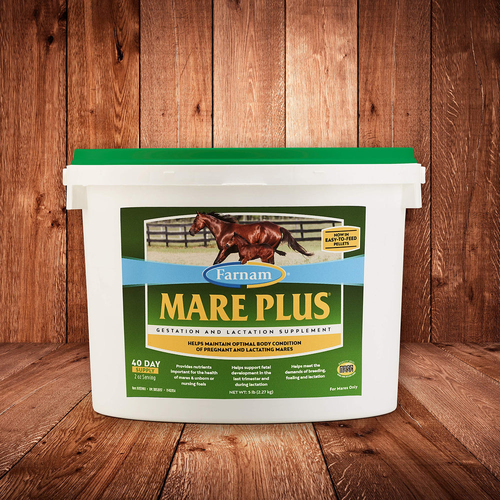 Close-up of Mare Plus pellets in a dish for easy feeding