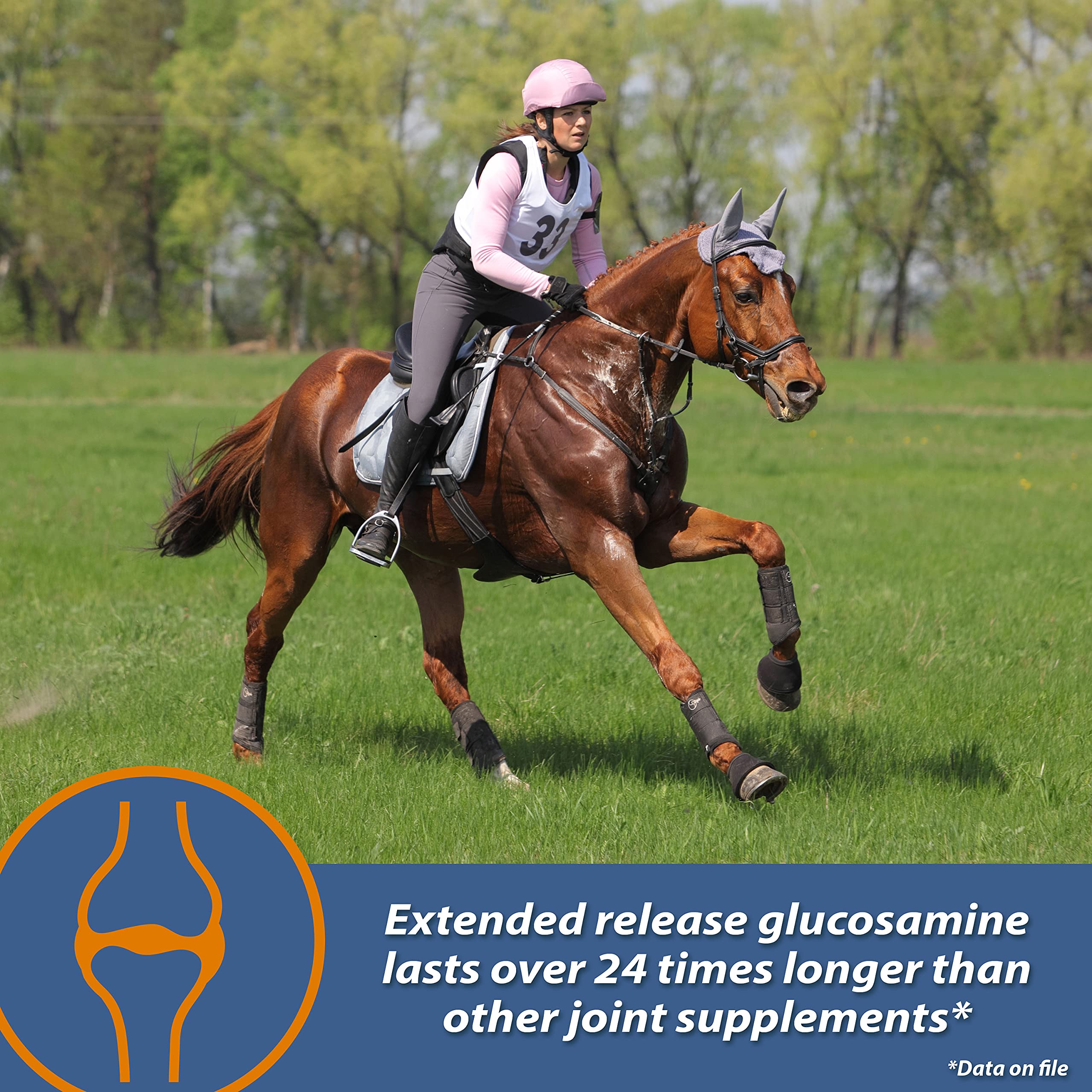 MSM ingredient highlighted in Farnam MaxFlex XR joint supplement.
