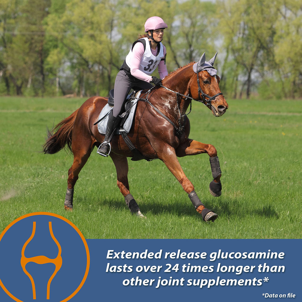 MSM ingredient highlighted in Farnam MaxFlex XR joint supplement.