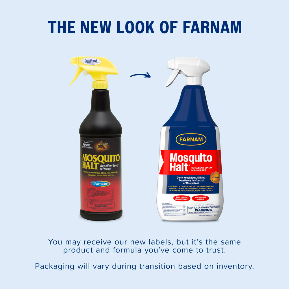 Horse being treated with Farnam Mosquito Halt spray helps reduce bites.