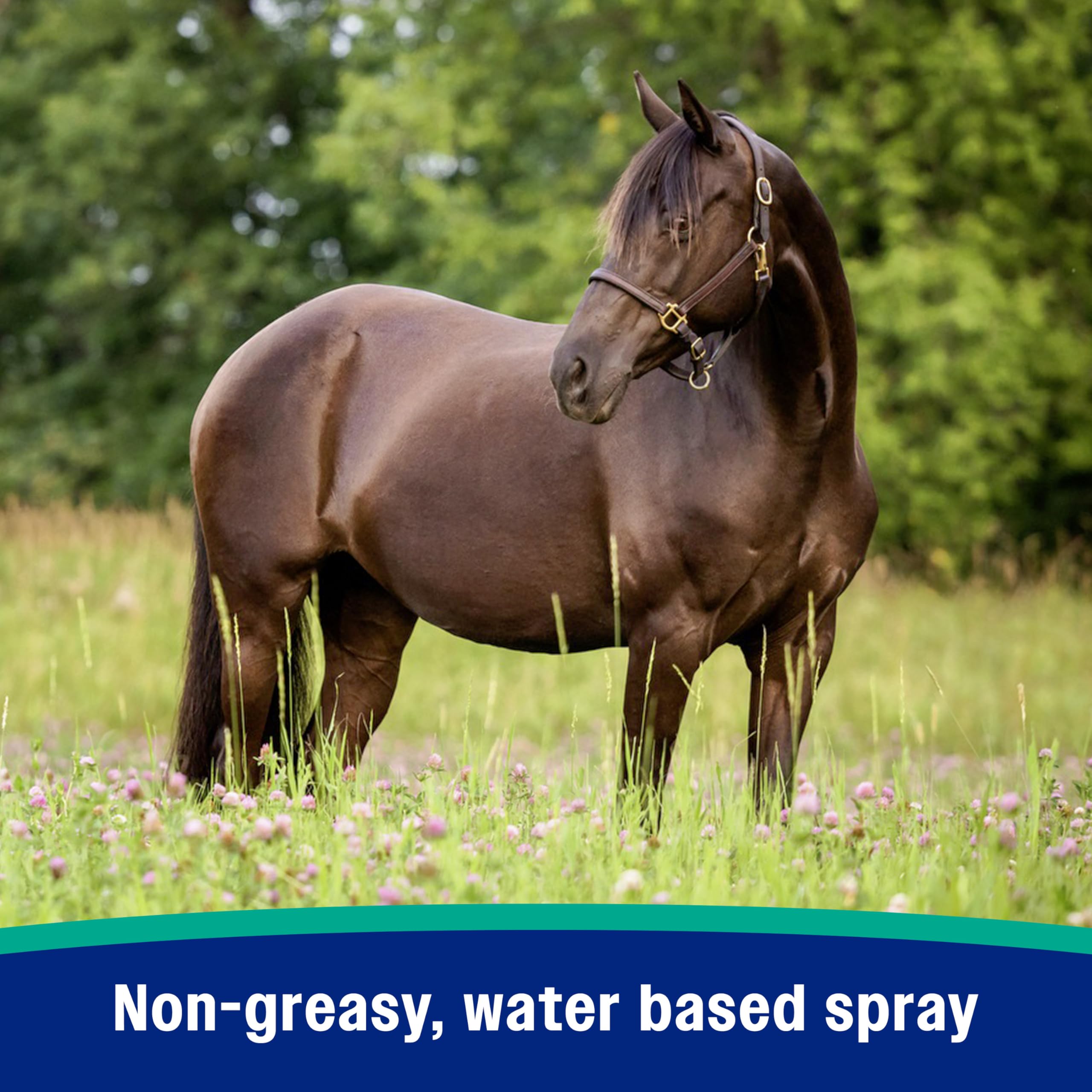 Concentrate bottle of Farnam Nature’s Defense for mixing with water